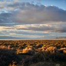 소프트 뱅크 이미지