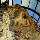 청와삼대 이미지