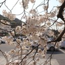 수피아어린이집 네이버블로그