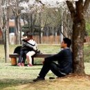 태양통닭 - 익산시 하나로13길 21 | 태양통닭