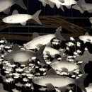 한축농장 이미지