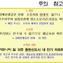 석우동 티스토리