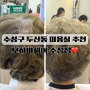 하비 | 수성구 두산동 미용실 수제열펌 잘하는 보하비헤어 후기 오픈할인가격