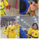 건강한태권도 이미지