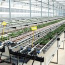 고흥팜2농장 이미지