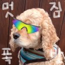 레드짐 대곡점 이미지