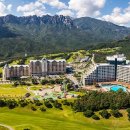 대명호텔 이미지