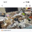 자기 좀 살려달라고 애원하는 20대 당근녀 이미지