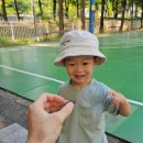 엄마반찬사주세요 이미지