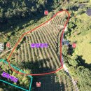 햇살 태양광발전소 이미지