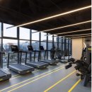 LIMITLESS 운동센터 | 머큐어 서울 마곡 호텔 리뷰 | 신상 호텔에서 즐기는 완벽한 호캉스✨