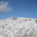 태백산약국 이미지
