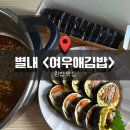 [경기] 어렸을 적 소풍 갔을 때 먹었던 김밥 맛, ‘여우애김밥’ 별내별빛마을점 내돈내산 추천후기