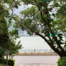 코스모스미용 이미지