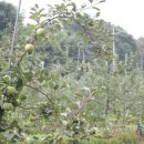 청송한우농장 이미지