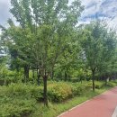 강서구-36 | 마곡역아파트 마곡엠밸리 강서구임장 후기 단지비교