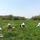 노곡1리 이미지