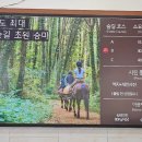 마리랑승마