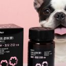 피부愛