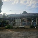 소나무(오리명가) 이미지