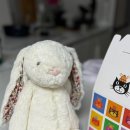 윤은숙산부인과의원 네이버블로그