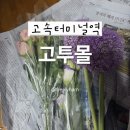 고속터미널 역 8-1번 출구 앞 | (고속터미널역) 고투몰 / 내돈내산 리뷰 😲