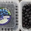 삼봉농장 이미지