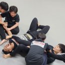 팀크로우 MMA 이미지