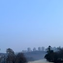 니어컨트리 | 수원cc Old(구) 코스 In 라운드 후기