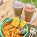 수려하개 이미지