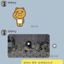 댕댕타임 이미지