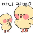 제이나인 이미지