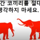 [빨간 코끼리의 법칙] ] - 일종의 프레임의 법칙 이미지