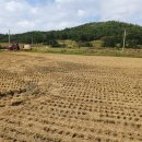 신안천사공인중개사사무소 이미지