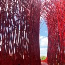 별마로농장 이미지