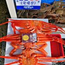 싱싱회 이미지