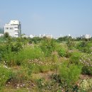 기남농장 이미지