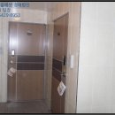 다다예술유치원 이미지