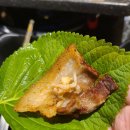 1981냉삼 이미지