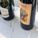 세진컴퍼니 | 백수 1달차