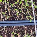 효원목장 이미지