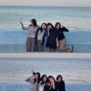 감포 바다 앞 민박 이미지