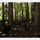 편백나무아래 이미지