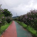 모듬내길 이미지