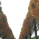 아산사회복지재단 보성아산병원 이미지