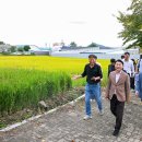 입석마을 입석 이미지