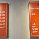 고양 일산 호수공원 가로수길