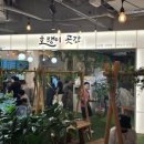88호랭이 - 수원시 영통구 청명로 19 | 88호랭이