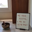 숨쉬는고래부산