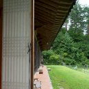 스테이 하구 이미지